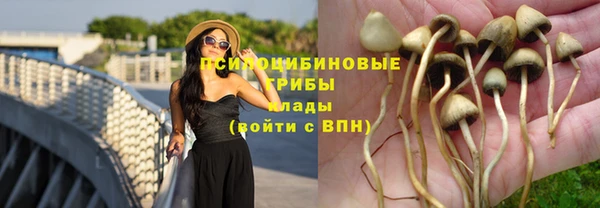 экстази Баксан