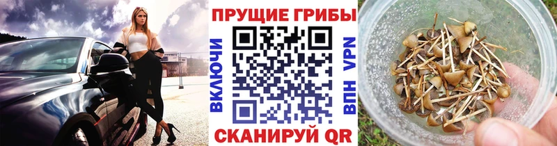 Галлюциногенные грибы ЛСД  kraken ССЫЛКА  Старая Купавна 